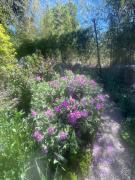 Top Saint-Paul-en-Forêt