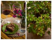 La Casa di Marco, holidays, sea and nature