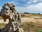 Top Carpignano Salentino