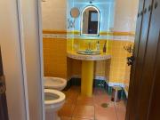 Casa Rural Dehesa del colmenar