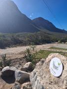 Top Bettyʼs Bay