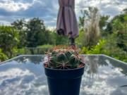 Top Saint-Paul-de-Vence