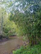 Top Le Boupère Top Le Boupère