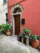 Top Carrodano Inferiore