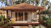 Top Goa Velha