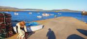 Top Ribeira