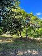 Top Santa-Reparata-di-Balagna