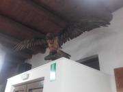 Top Omalós