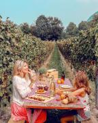 Wine & Ginger - Villa Luxury x8 Wine & Ginger - Villa Luxury x8