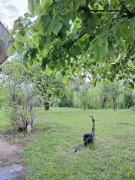 Top Donji Branetići