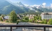 Grand Studio 25 m2, lumineux, central, vue Mont-Blanc
