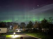 Vacant Nests Seton sands The Kings Barns