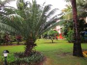 Top Candolim