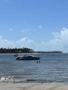 Top Tamandaré