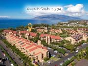 Top Wailea Top Wailea