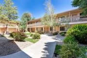 Top Grand Junction