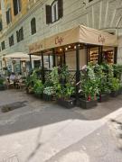 Roma Vatican Roma Vatican