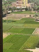 Large 2 Bedrooms 4 beds full apartment suitable for Families in Fayoum Dalah