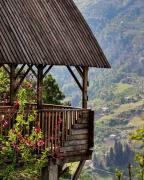 Hill Guesthouse - Wine Cellar, Fish Farm & Organic Cuisine