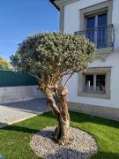 Top Sesimbra