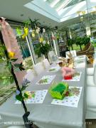 Top Morzyczyn Top Morzyczyn