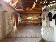 Top Adamów Top Adamów