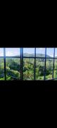Top Yercaud