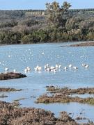 Top Torre Colimena Top Torre Colimena