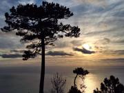 Top Raposeira do Logarinho