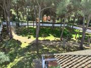 Top Arcos de la Frontera