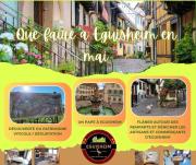 Top Eguisheim