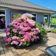 Top Præstø Top Præstø