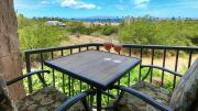 Spacious Ocean View Condo in Kihei