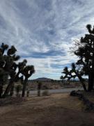 Top Yucca Valley
