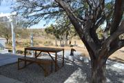 Top Yucca Valley