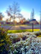 Top Glen Innes