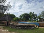 Top Szczecin Top Szczecin