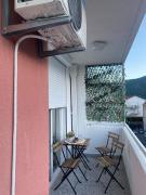 Top Kotor