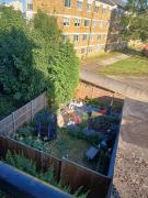 Charming London Guest Room with Garden BBQ