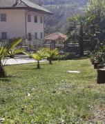 Seraphic Home Garden