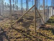 Holiday Home Mäntylahti by Interhome