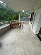 Top Rize