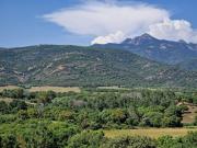 Top Pianottoli-Caldarello