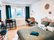 JOLI STUDIO AVEC PARKING ET NETFLIX - Proche du palais des exposition, du stade de Beaublanc et du Zenith