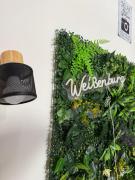 Top Weißenburg in Bayern