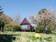 Chalet Sandpiper Lodge by Interhome