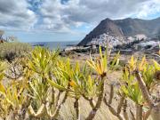 Top Santa Cruz de Tenerife