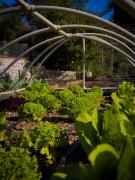 Marmaris Tiny House Olea Gökbel