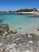 Top Torre Inserraglio