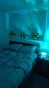 Eitihad room Eitihad room
